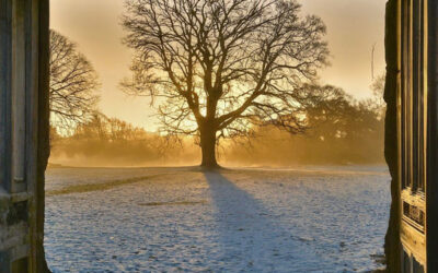 Yule: A Liminal Conjunction